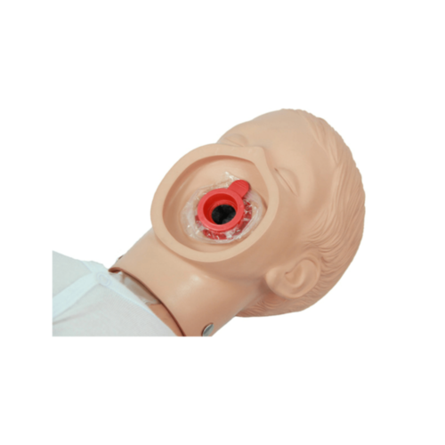 Ambu Junior Abdichtungsringe (10)