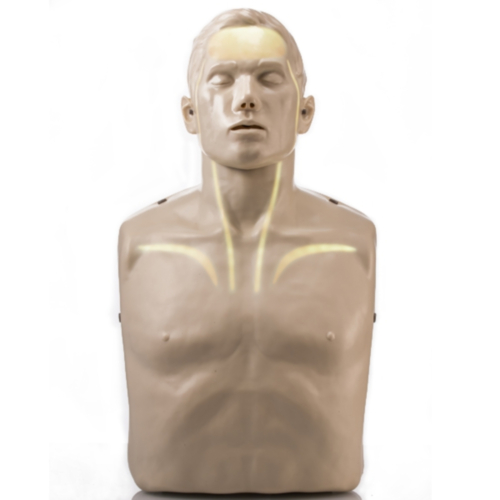 Brayden Reanimationsmodell mit weißen LEDs - 6652