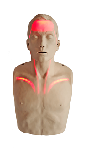 Brayden Reanimationsmodell mit roten LEDs - 10430