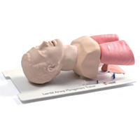 Laerdal Airway Management Trainer 